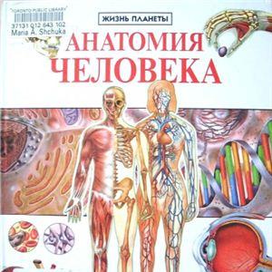 Анатомия человека - Привес М